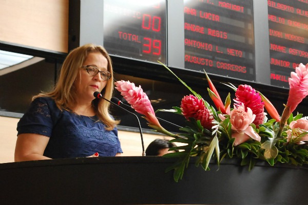 Ana Lúcia homenageia mulheres em sessão na Câmara de Recife (PE)