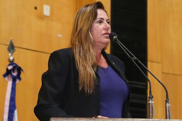 Cláudia Lemos cobra responsabilidade de empresa sobre desastre ambiental em Mariana