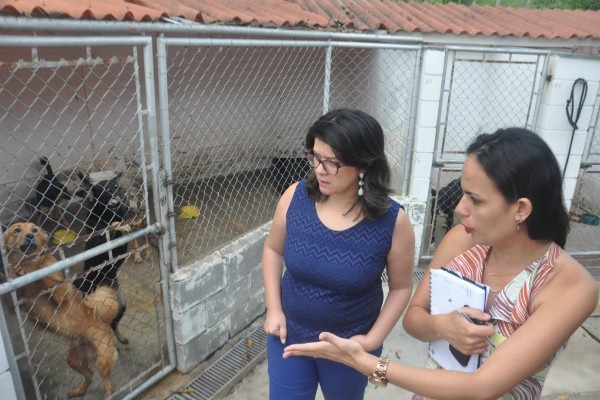 fabia-porto-prb-visita-canil-municipal-foto2-ascom-12-01-17