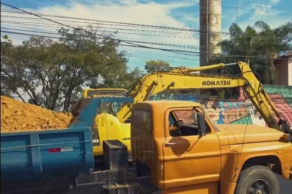 Renata Sene intensifica investimentos e otimiza gestão