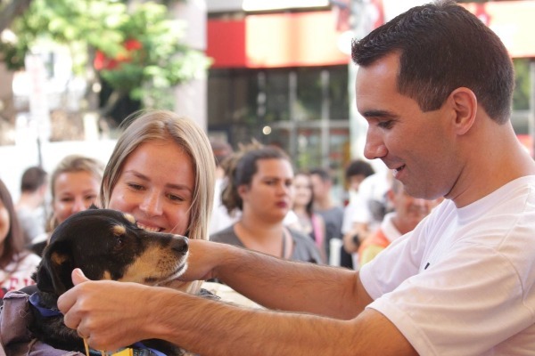 Câmara aprova projeto de lei que combate os maus-tratos aos animais em Parobé