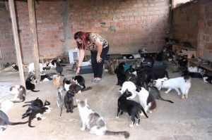 jose-de-arimateia-prb-visita-apa-em-feira-de-santana-foto-criz-oliveira-04-05-17-02