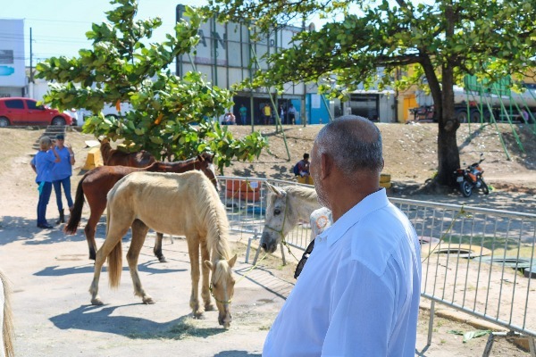 Joselito Nunes participa de ação para tratar de cavalos abandonados