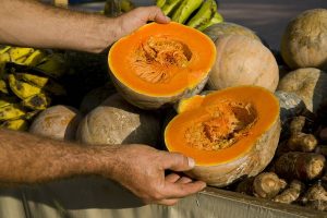 Prefeitura do Rio apoia Feiras de Alimentação Saudável