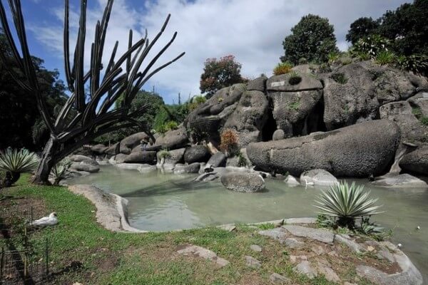 Crivella amplia patrulhamento e reativa lago no Campo de Santana