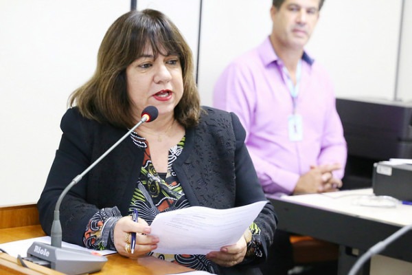 Projeto que prevê programa de atenção pós-parto recebe parecer pela aprovação