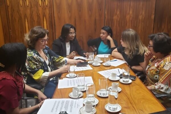Conselho do Mulheres Republicanas se reúne para elaborar estratégias para 2020