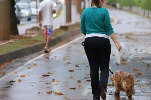 neviton-prb-cuiaba-mt-lei-pune-donos-de-caes-15-07-2016-02