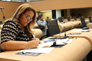 Professora Ana Lúcia apresenta balanço das atividades legislativas de 2017