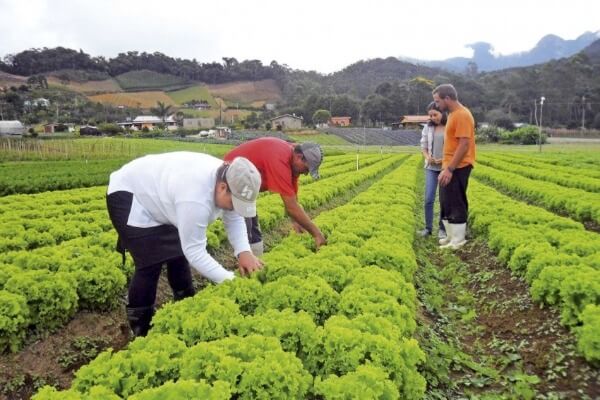 Projeto de Mecias de Jesus que prorroga dívidas rurais durante pandemia é aprovado