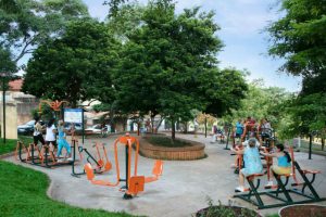 rinaldi-digilio-vereador-prb-sp-qprojeto-gerar-energia-limpa-na-capital-foto-cedida-11-04-2017-02