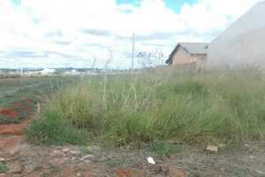 robson-magela-veredor-prb-araxa-mg-autoriza-prefeitura-cobrar-por-limpeza-de-terrenos-particulares-foto-ascom-24-05-2017