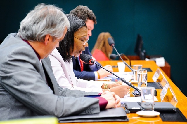 rosangela-gomes-prb-parecer-cpi-jovens-negros-e-pobres-foto2-douglas-gomes-07-07-15