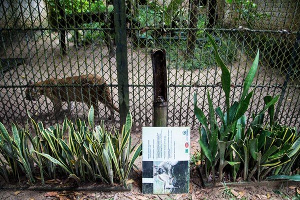 silvio-costa-filho-prb-pe-dois-irmaos-parque-inadequado-para-animais-e-vistantes-foto3-ascom-12-5-2016