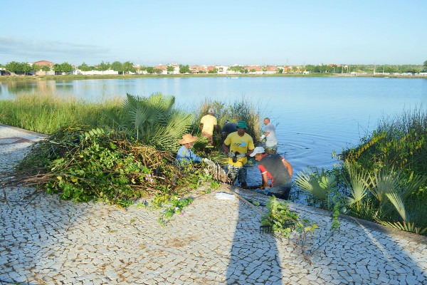 weber-araujo-prb-limpeza-lagoa-caicara-rurras-ce-foto-ascom-06-06-2017 (3)