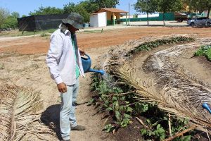 Webston Pinheiro comemora primeira colheita na Fazenda Modelo de Agricultura Familiar