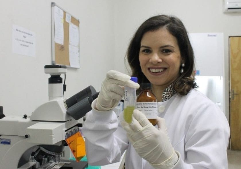 TPM: pesquisadora cria inseticida que mata mosquito da dengue