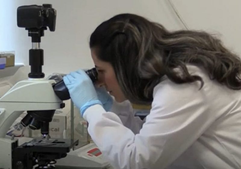 TPM: Heroínas na batalha contra a Covid-19