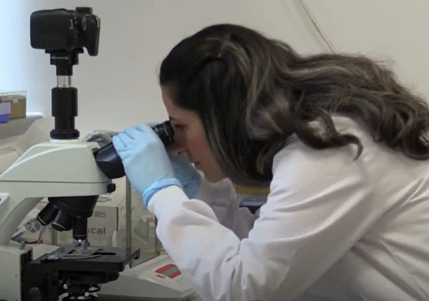 TPM: Heroínas na batalha contra a Covid-19