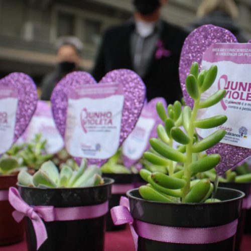 Junho Violeta: campanha traz conscientização sobre violência contra idosos