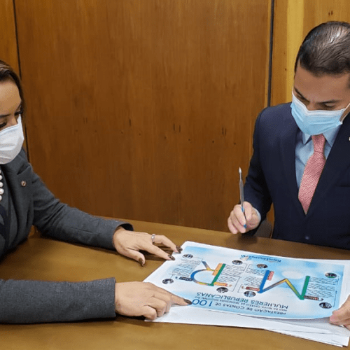 Tia Ju presta contas de 100 dias de gestão no Mulheres Republicanas